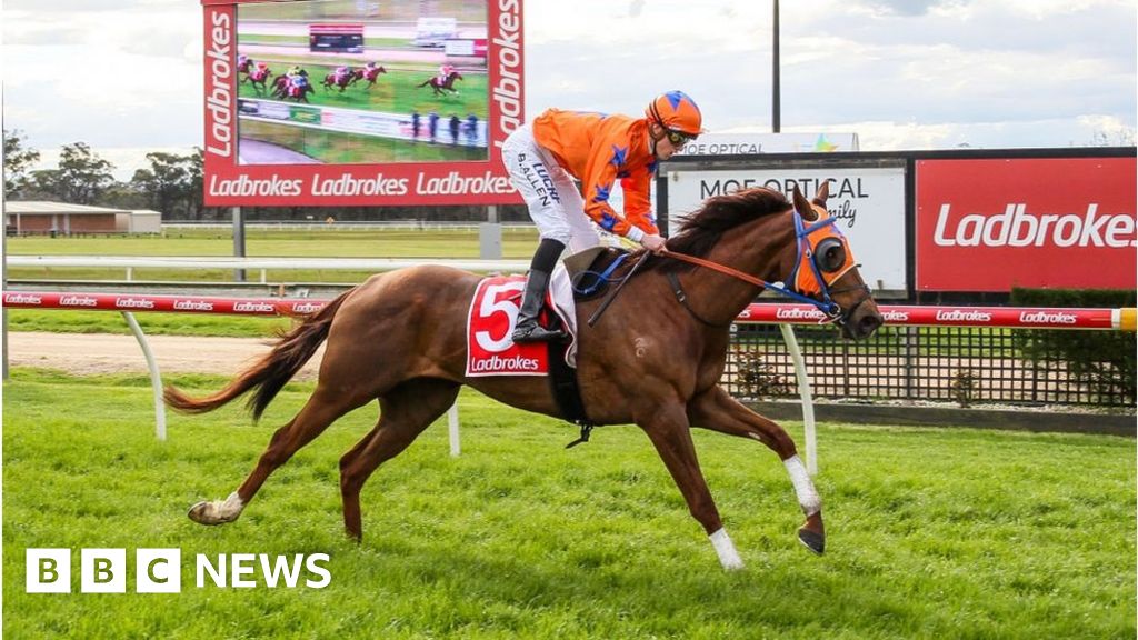 Ladbrokes owner sees profits boost despite gambling crackdown