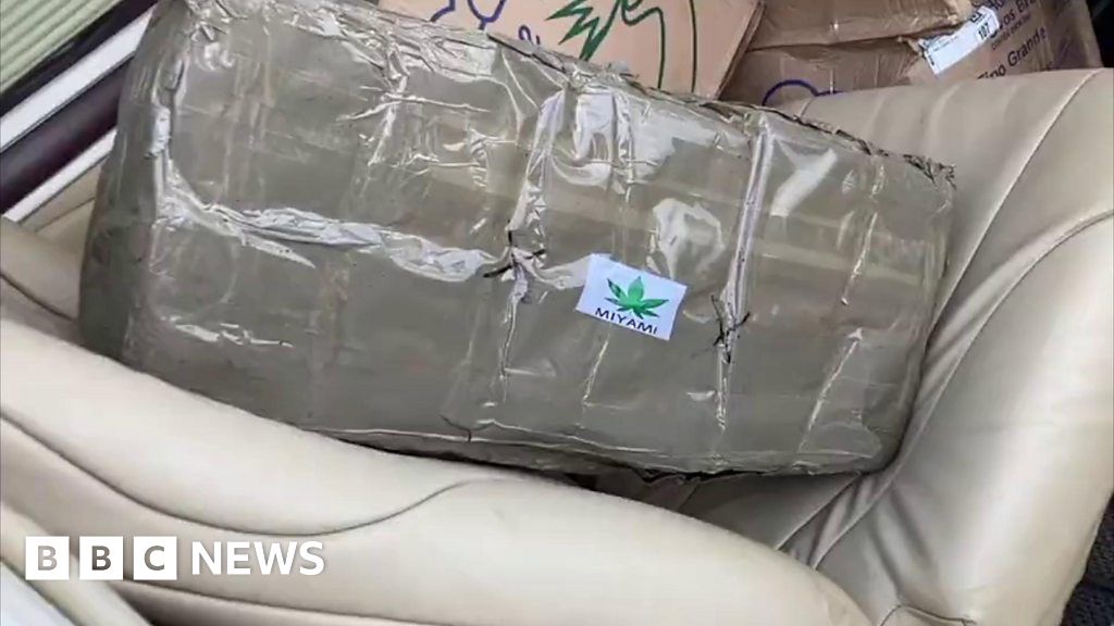 Police find 290kg of marijuana in church-owned plane