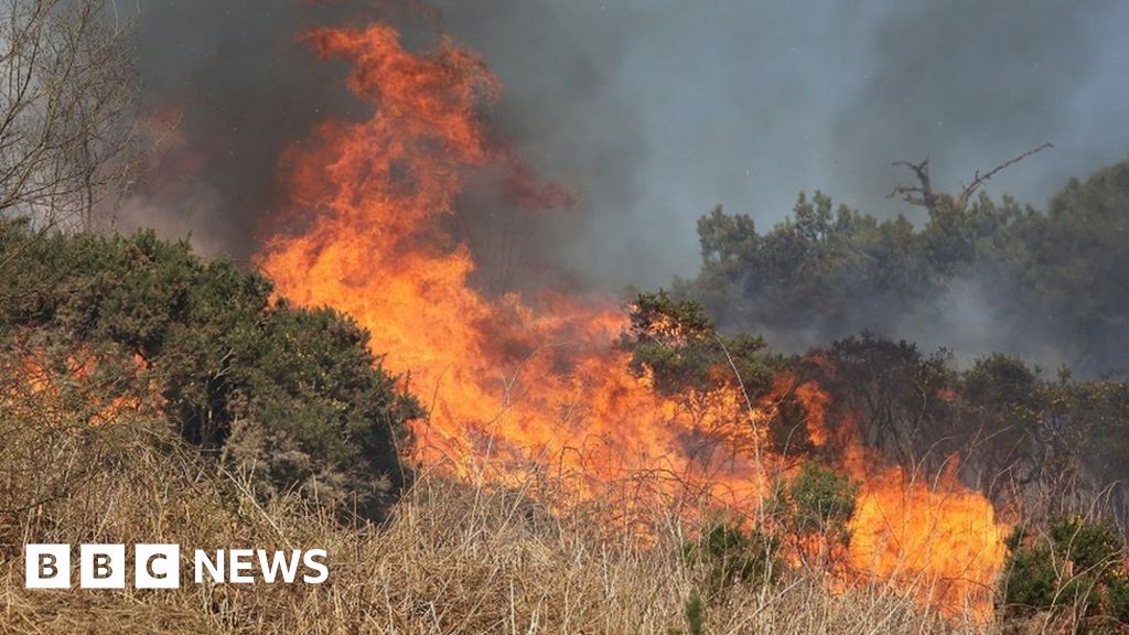 Blaze breaks out in Highlands during wildfire warning - BBC News