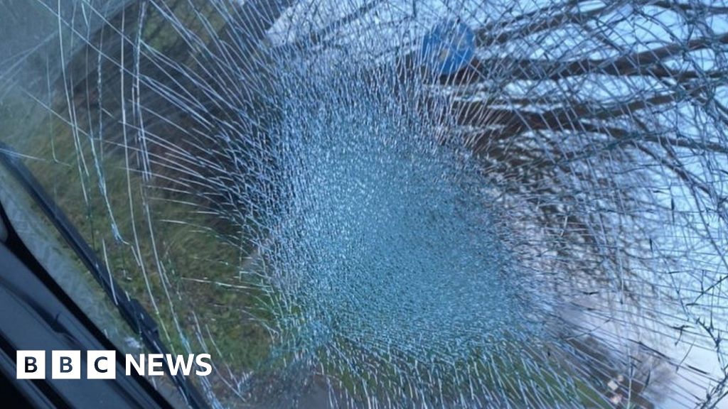 Brick thrown from A12 bridge hits van of father and son