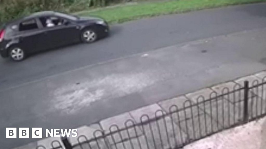 Bradford CCTV shows kitten dying after being thrown from car