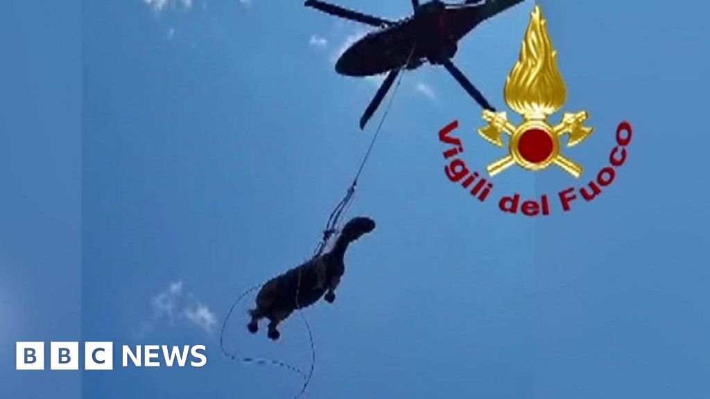 Horse airlifted to safety from deep Italian pit