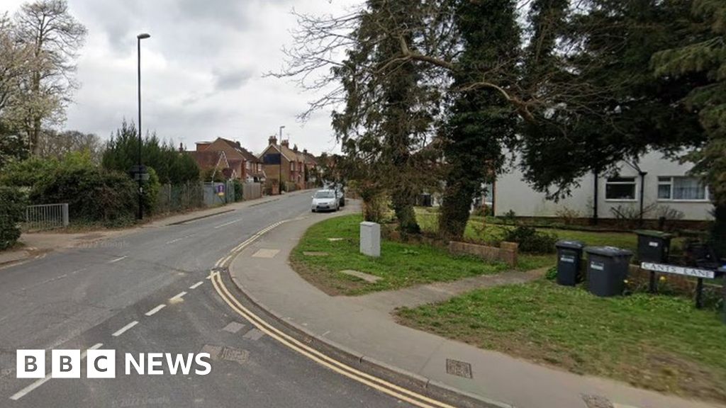 Boy left bare after being sexually assaulted by two ladies in Burgess Hill