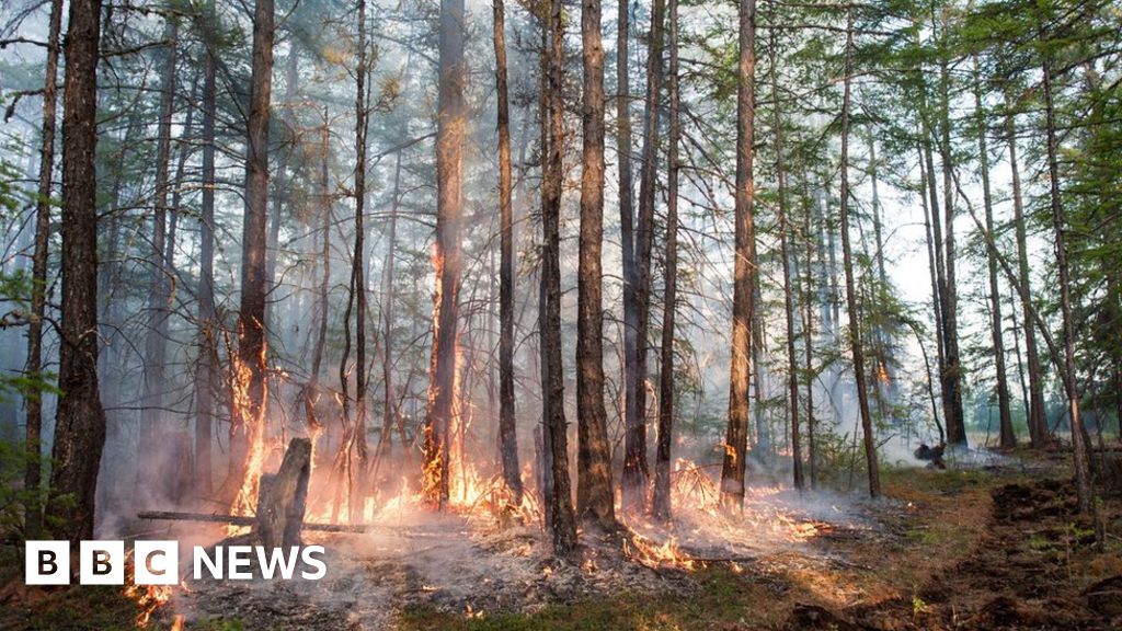 Arctic Circle sees 'highest-ever' recorded temperatures