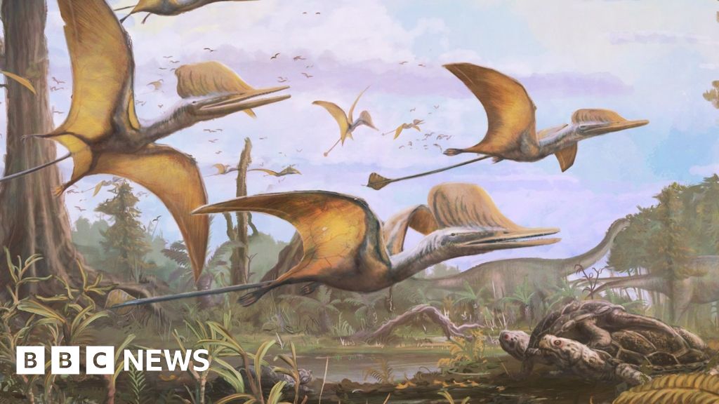 Pterosaur: A unique flying reptile that flew over the Isle of Skye