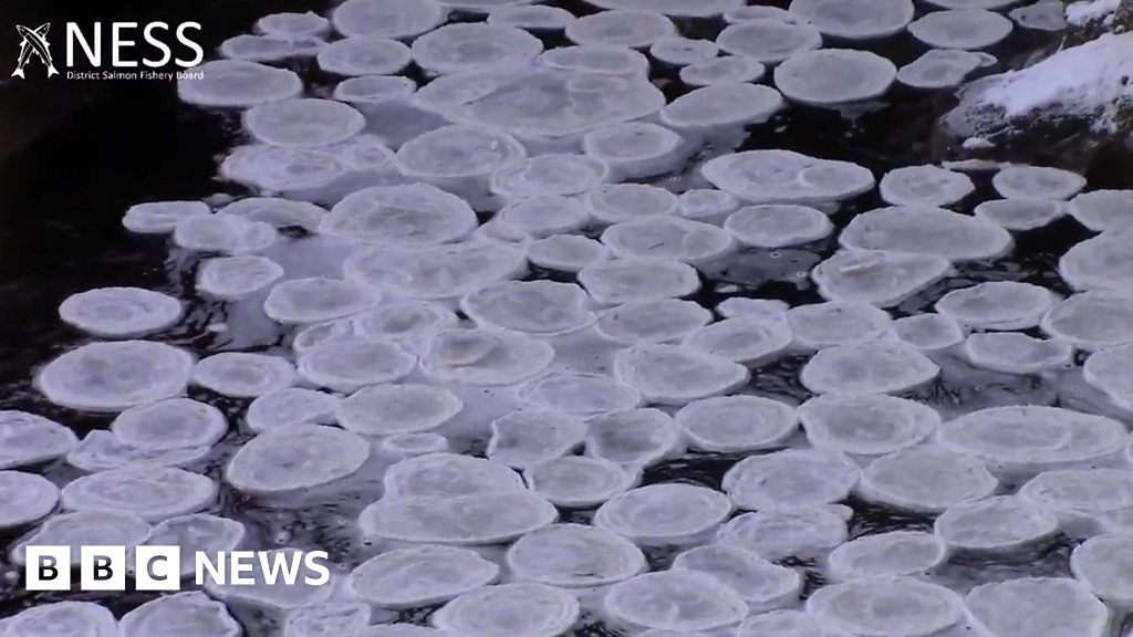 Ice pancakes float along a river in the Highlands BBC News