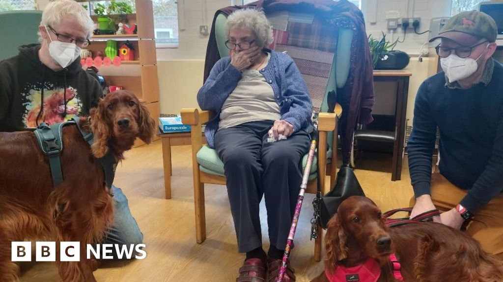 劍橋97歲的婦女為實現生日願望與紅色獵犬見面