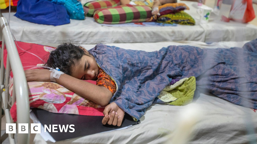 Близо 1000 души са починали от денга в Бангладеш през