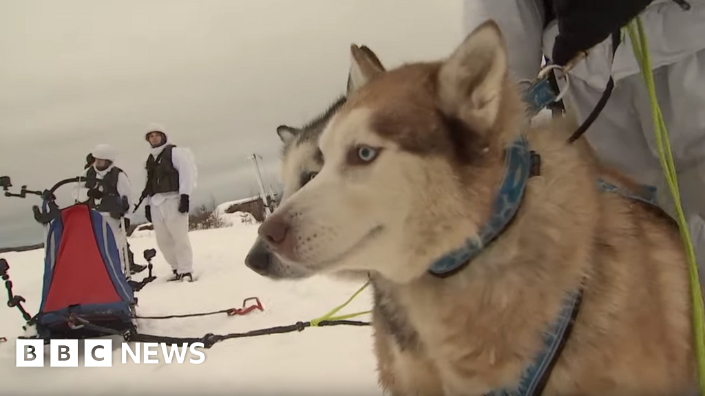 Pilots Facing off Against Huskies Before Returning Home