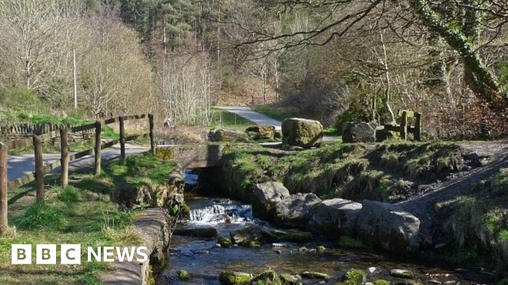 cwmcarn forest drive mountain bike trail