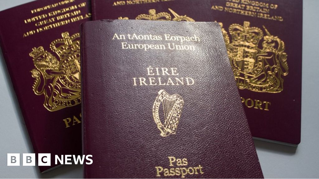 Irish Passport Record Number Issued In 2019 BBC News    110693774 Passportsgettyimages 613741676 