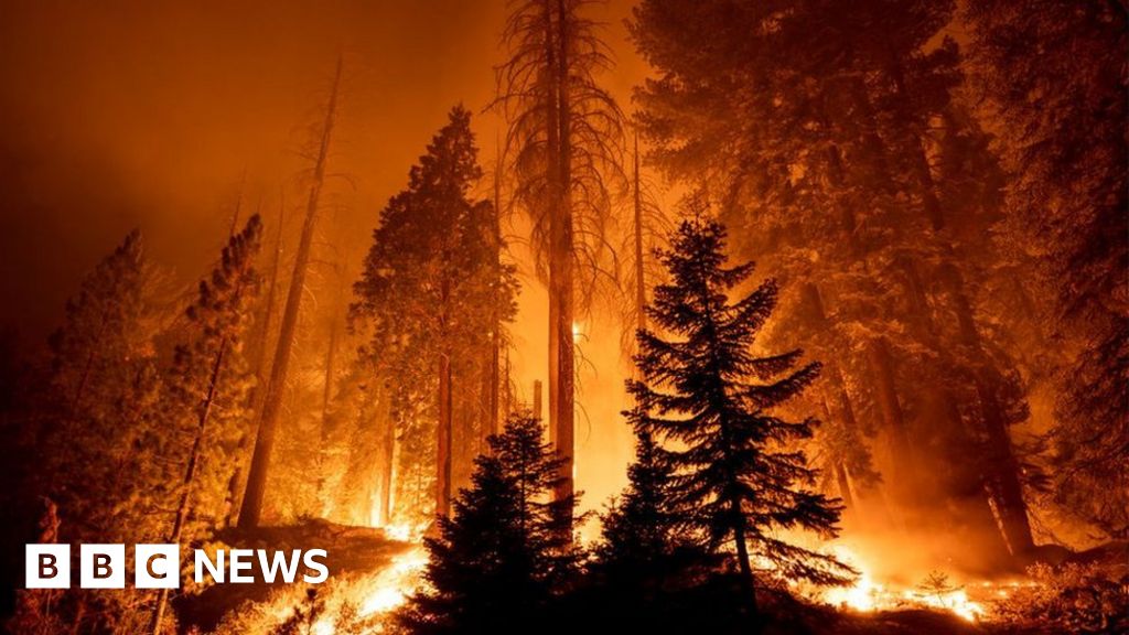 Climate change: Storm clouds gather after COP26