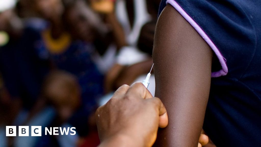 Angolas Yellow Fever Outbreak Could Become Global Emergency Bbc News 