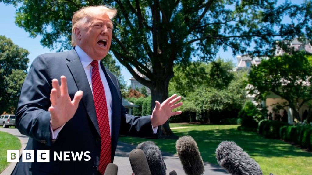 Trump Defends Census Citizenship Question Bbc News 