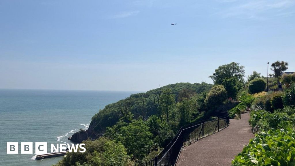 Two men die after being pulled from sea in Devon