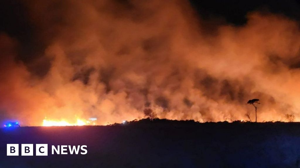 Holt Heath: Firefighters tackle huge blaze at nature reserve 