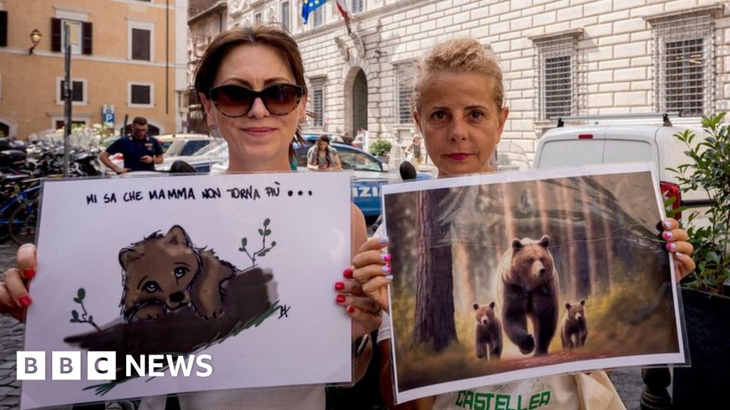 هجمات الدببة في إيطاليا: الحيوانات التي تقف وراء هجمات جبال الألب تتجنب المذبحة