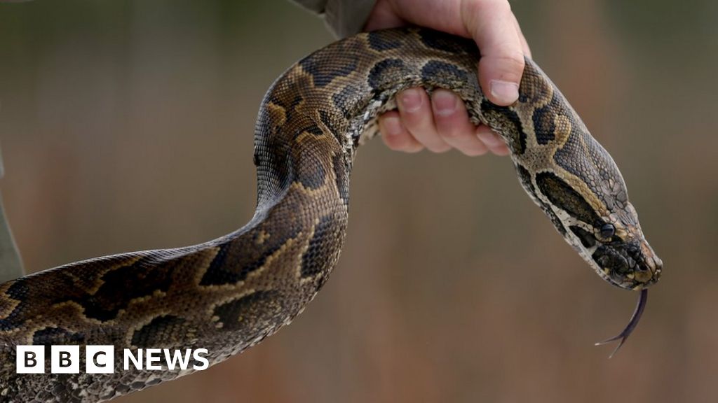 US national parks face 'crisis' over invasive animals