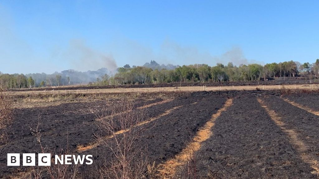 Fire crews tackle large gorse fire in County Tyrone - BBC News