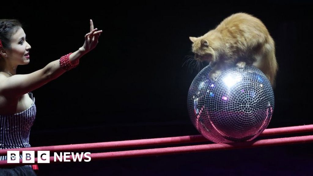 Week In Pictures 22 28 September 2018 Week In Pictures 22 28 September 2018