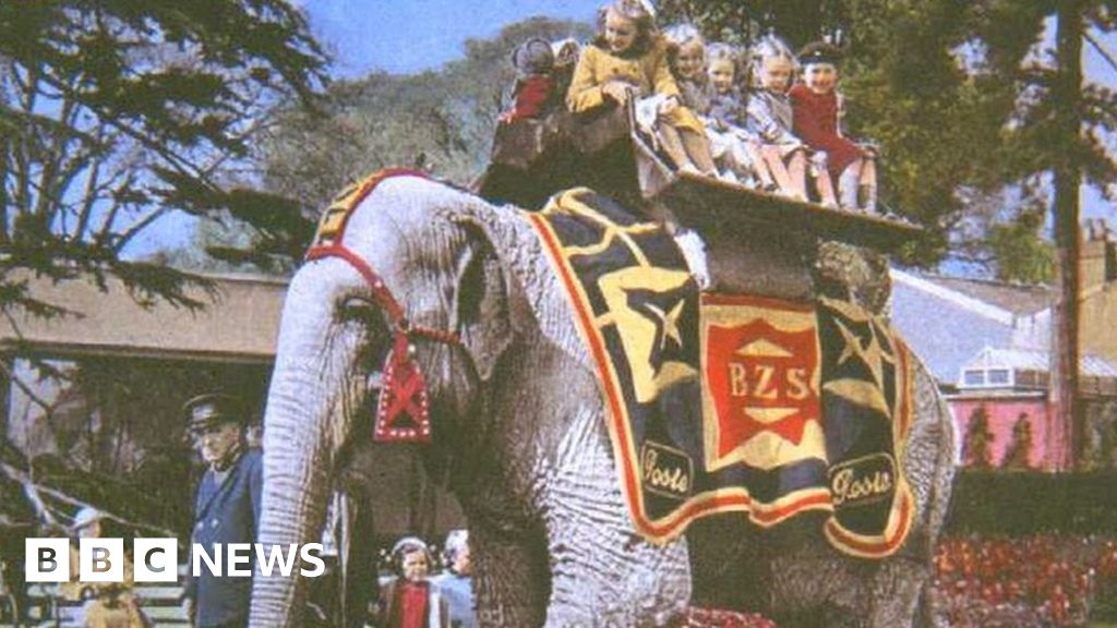 bristol-zoo-in-pictures-attraction-shuts-after-186-years
