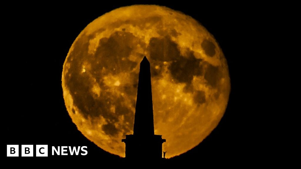 The day of the moon is. The day of the moon is