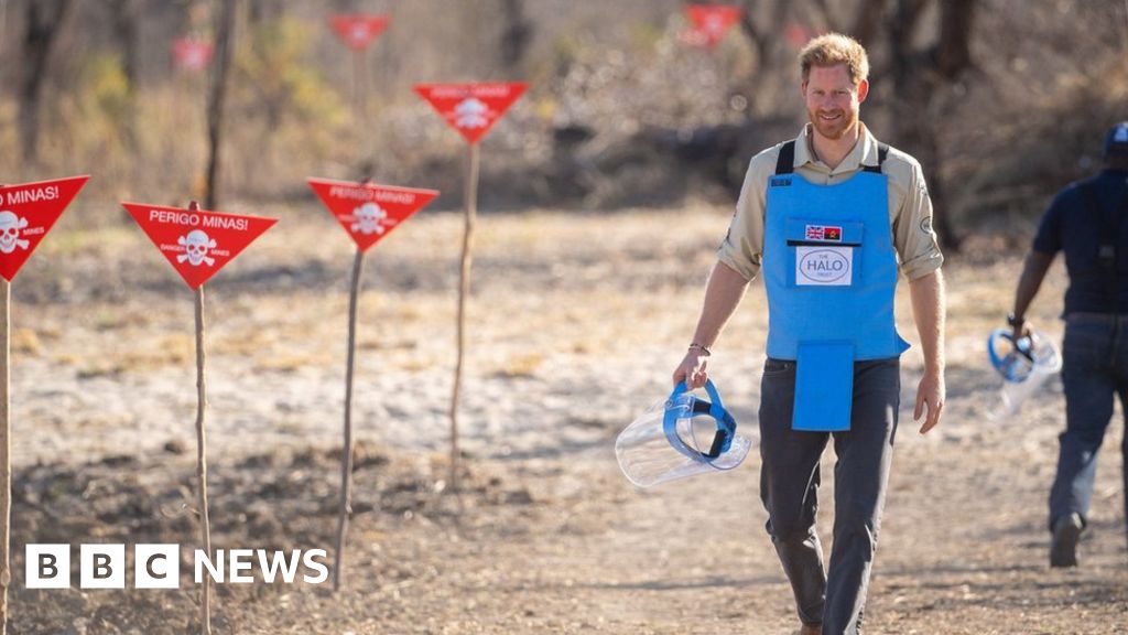 Prince Harry in southern Africa: Where are the world's landmines?