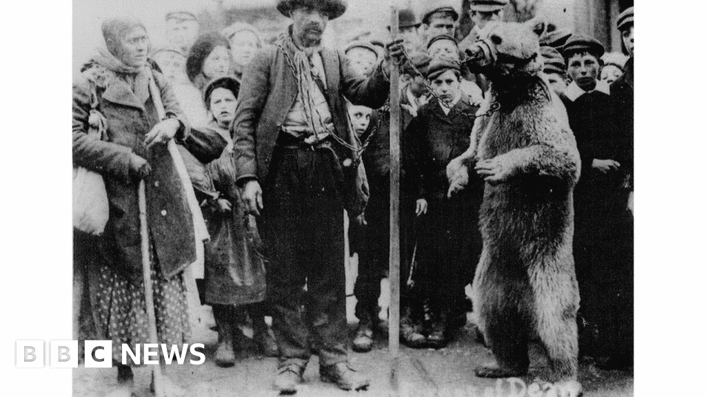 'Child killing' bear slaughter summons discovered