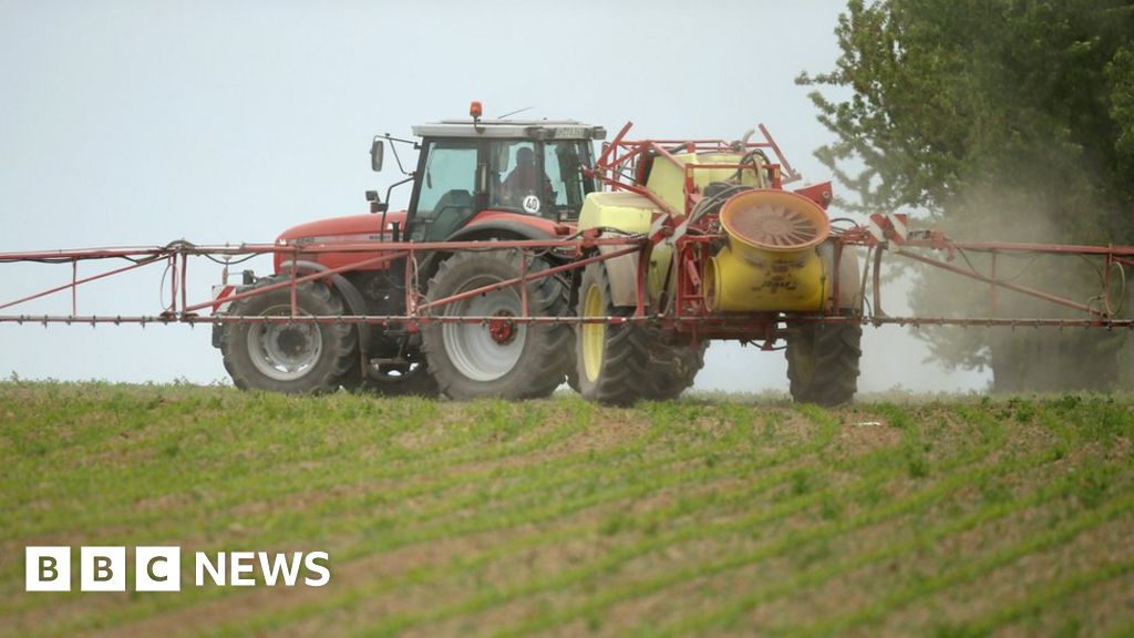 Controversial weedkiller in Roundup 'does not cause cancer', says European  expert committee, The Independent