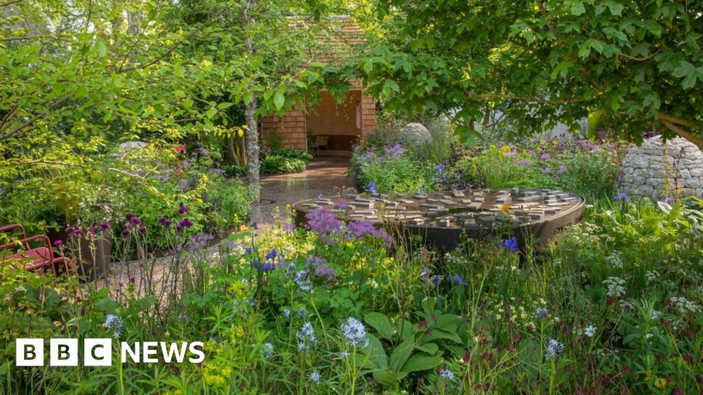 Sheffield Hospital Garden Wins Top Prize At Chelsea Flower Show BBC News    129846684 Copyofhoratio'sgardenchelsea2023designedbycharlotteharrisandhugobuggmariannemajerus 