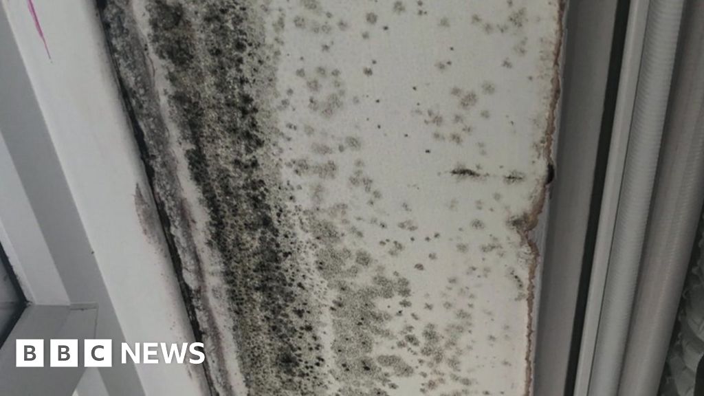 Rise in tenant complaints against landlords in Devon and Cornwall