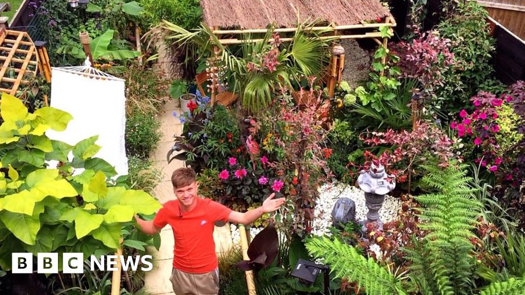 YouTube gardener makes back yard oasis
