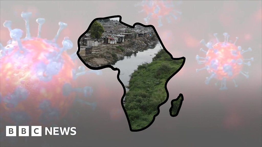 Coronavirus in Africa What impact could virus have on the continent?