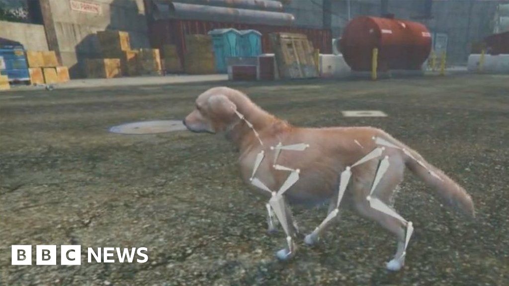 bbc.co.uk - AI to help turn dog pics into 3D models - BBC News