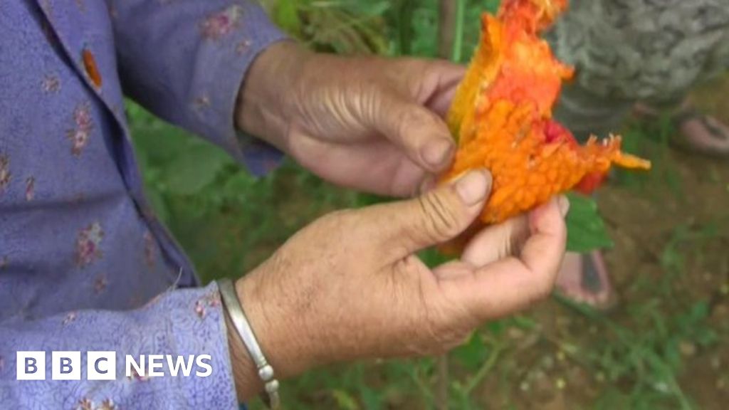 Dealing with China's environmental challenge BBC News