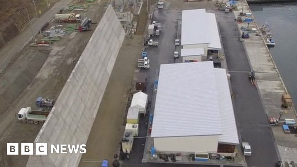 Tsunami video bbc