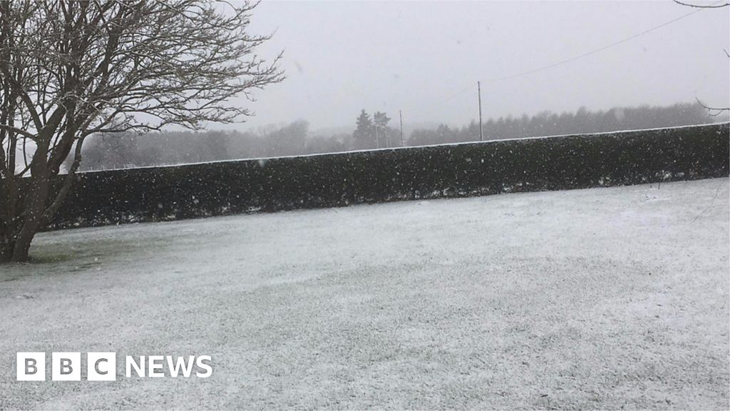 Snow falls in parts of Norfolk as county escapes heaviest flurries