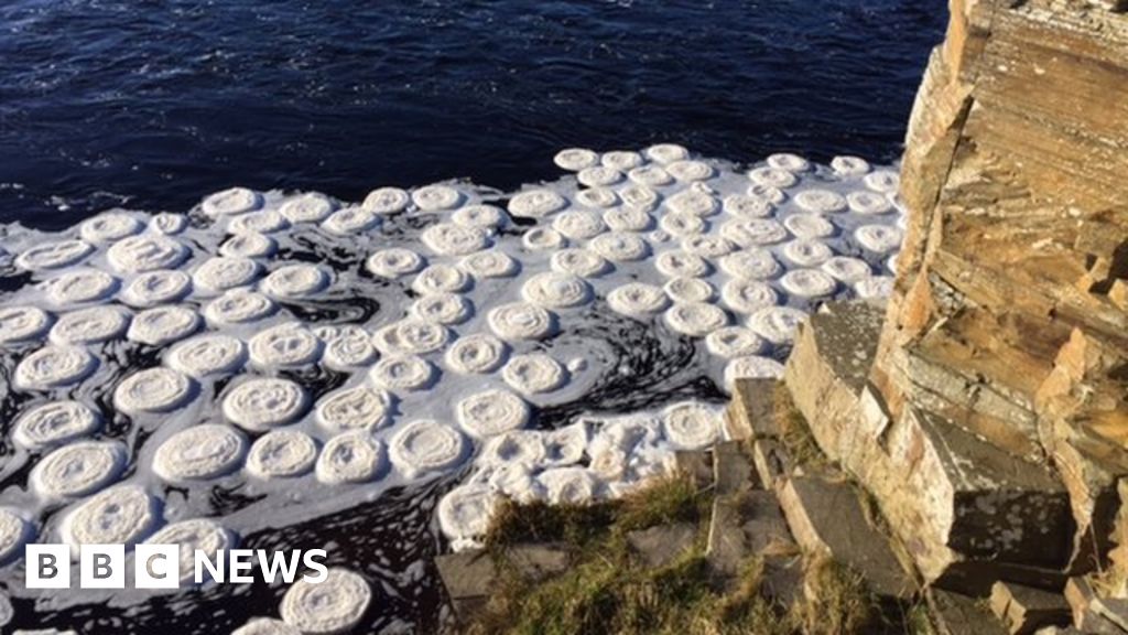 Ice pancakes pictured on Thurso River at Halkirk BBC News