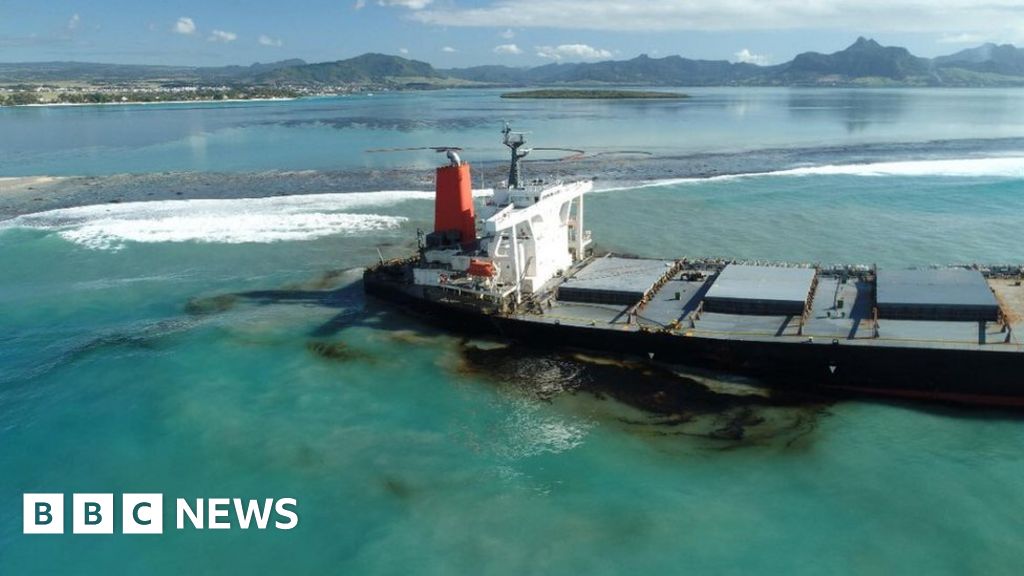 Why the Mauritius oil spill is so serious