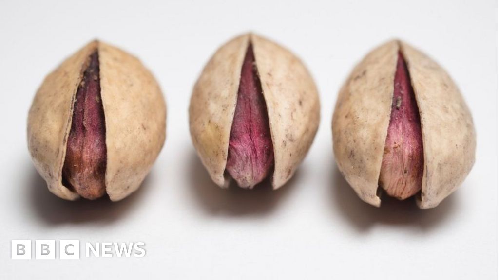 The pistachios that need police protection