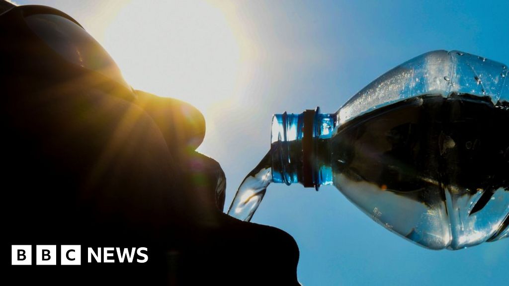 Initial evidence shows microplastics pose ‘minimal health risk’