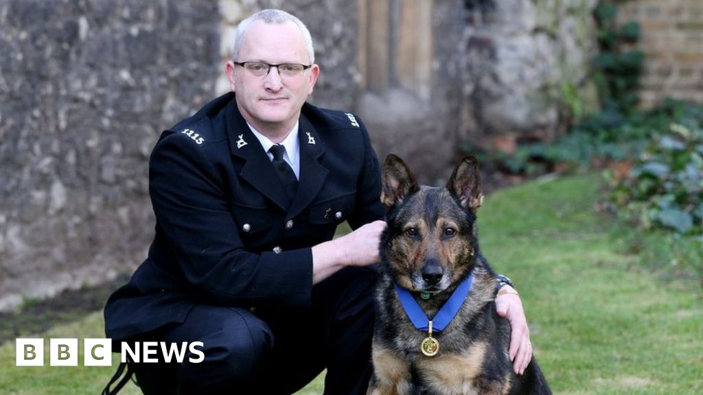 Finn handler PC David Wardell investigated over dog welfare - BBC News