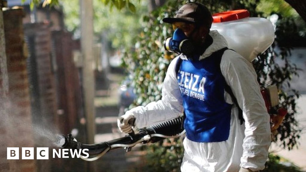 Argentina dengue: Record fever outbreak kills over 40