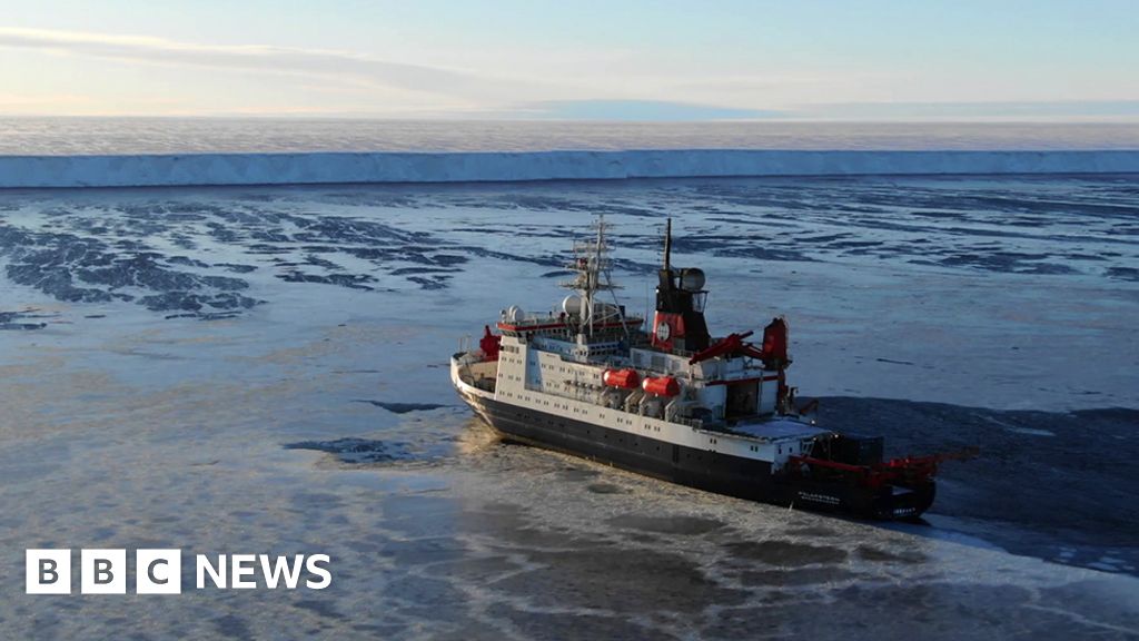 Antarctic seafloor exposed after 50 years of ice cover - BBC News