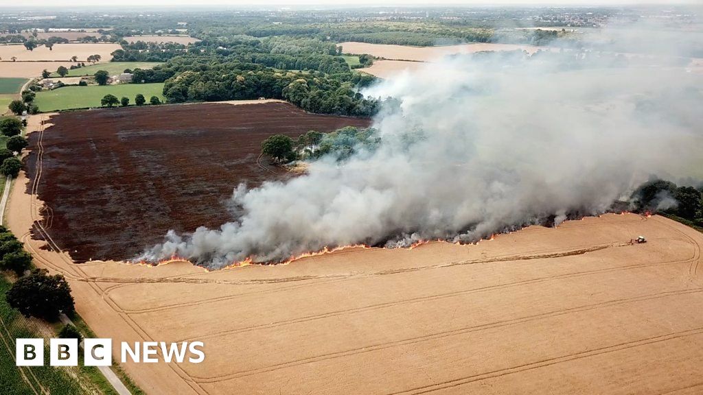 Drone view as fire ravages Suffolk wheat field BBC News