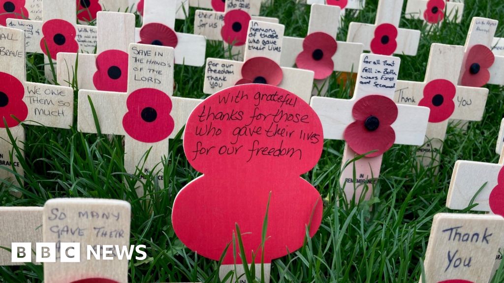 When is Remembrance Sunday 2023? Armistice silence, the Poppy Appeal and  London events