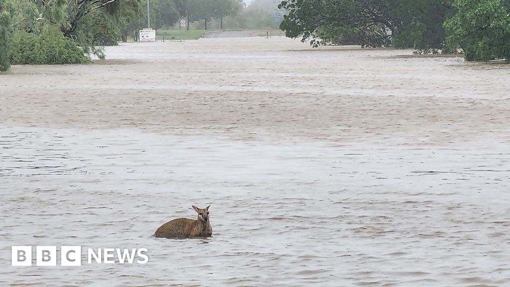 Australia flood crisis: 'Once in a century'