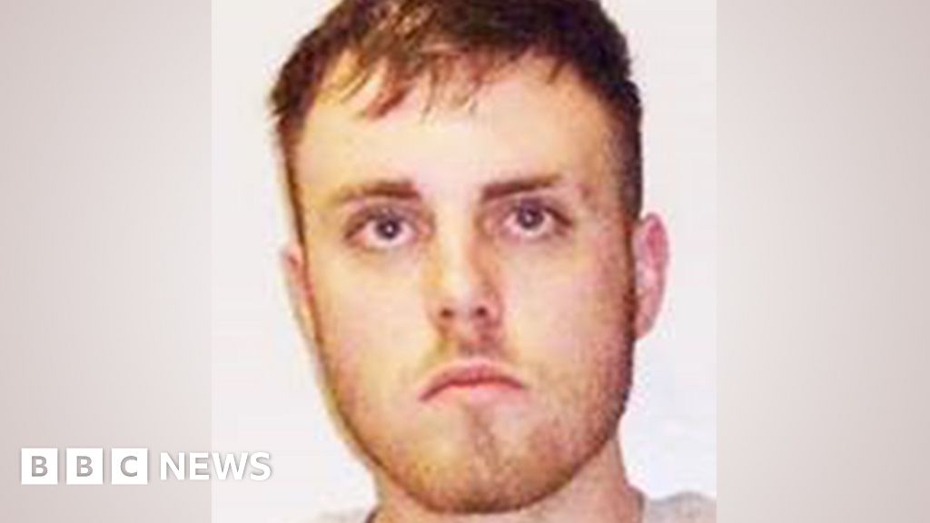 Drug binge killer Liam Hay admits stabbing stranger in his own home