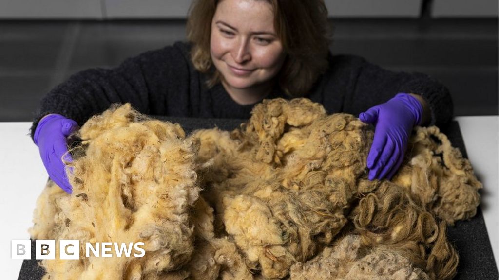 Dolly the Sheep's fleece donated to museum