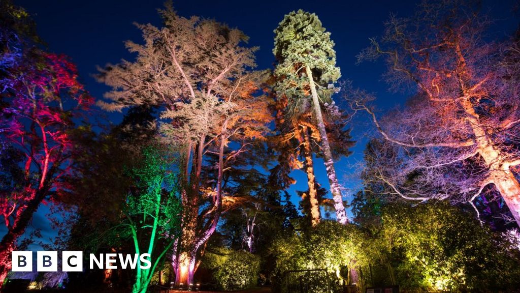 Westonbirt Arboretum is transformed into an illuminated winter